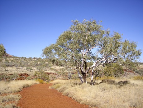 IMGP0219.JPG IMGP0219.JPG