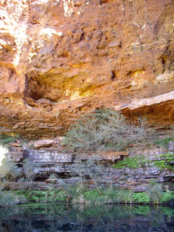 IMGP0243.JPG IMGP0243.JPG