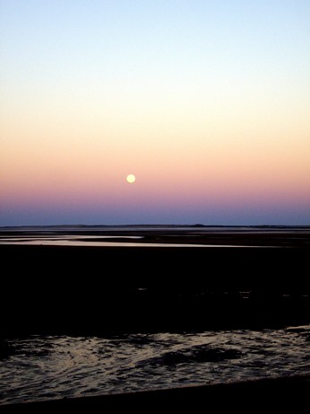 IMGP0270.JPG IMGP0270.JPG