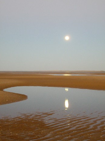 IMGP0283.JPG IMGP0283.JPG