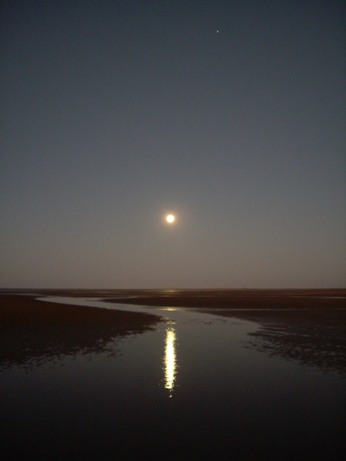 IMGP0286.JPG IMGP0286.JPG