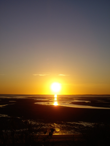 IMGP0307.JPG IMGP0307.JPG