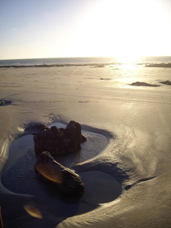 IMGP0329.JPG IMGP0329.JPG