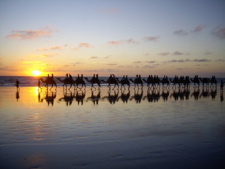 IMGP0370.JPG IMGP0370.JPG