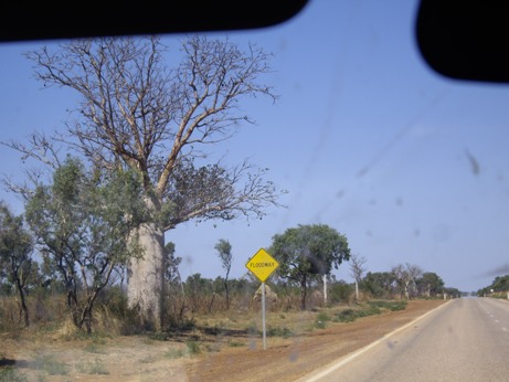 IMGP0520.JPG IMGP0520.JPG