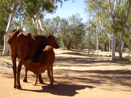 IMGP0549.JPG IMGP0549.JPG