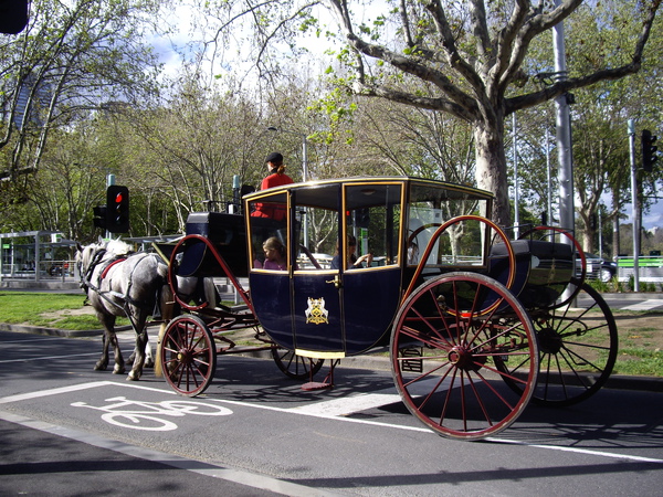 IMGP1543.JPG IMGP1543.JPG