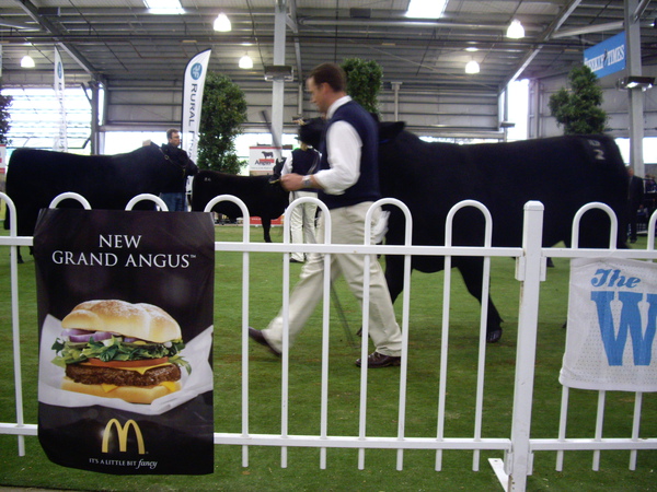 IMGP1678.JPG IMGP1678.JPG