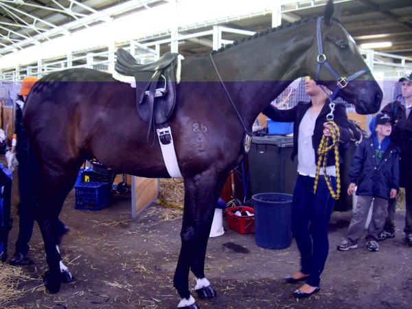 IMGP1692.JPG IMGP1692.JPG