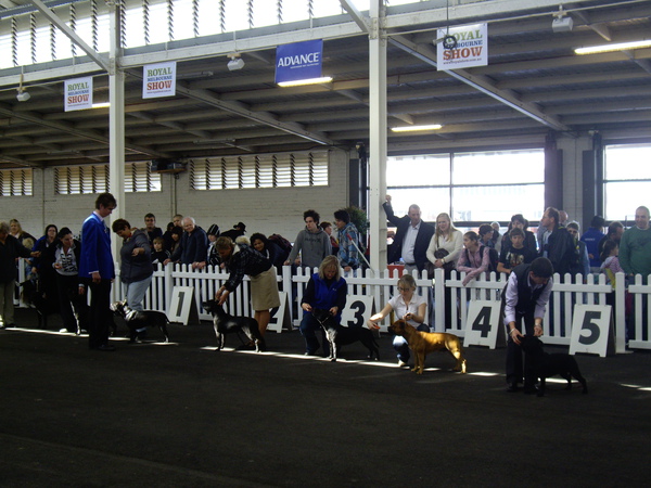 IMGP1704.JPG IMGP1704.JPG