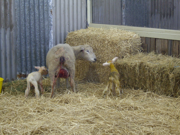 IMGP1713.JPG IMGP1713.JPG