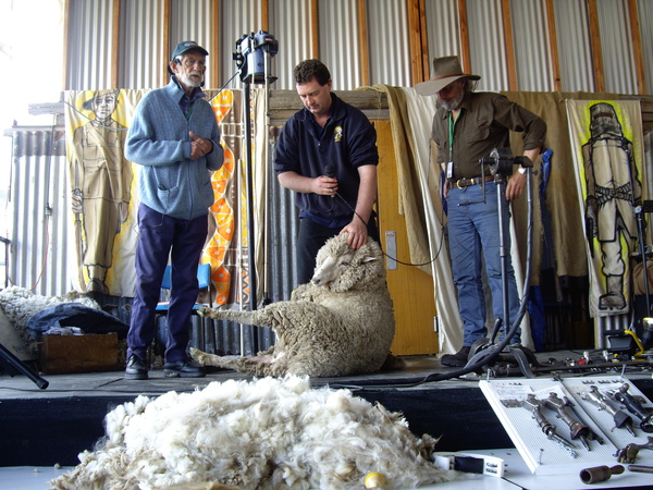 IMGP1721.JPG IMGP1721.JPG