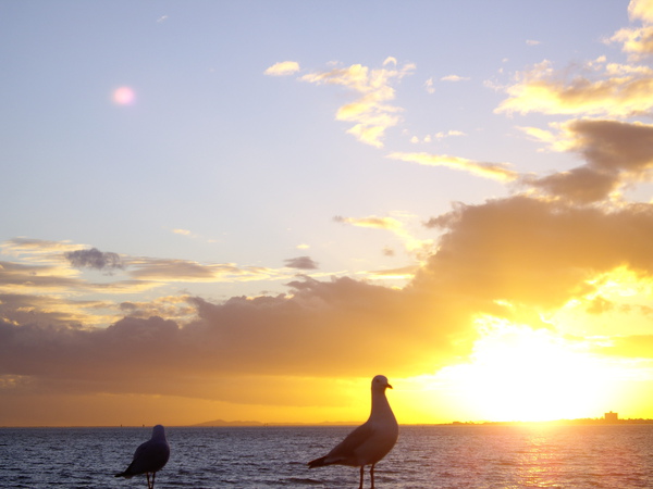 IMGP1760.JPG IMGP1760.JPG