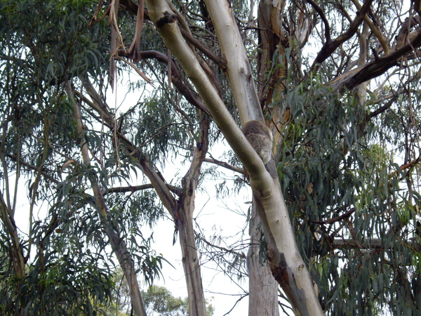 IMGP1911.JPG IMGP1911.JPG