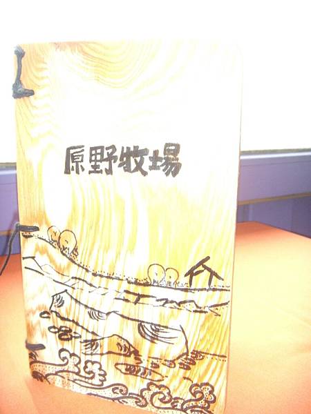 DSCN1971.JPG DSCN1971.JPG