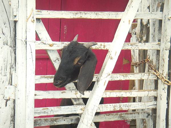 DSCN1967.JPG DSCN1967.JPG