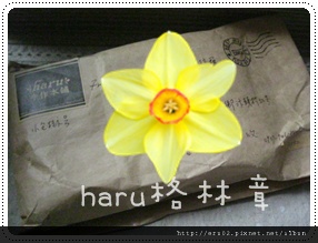 haru格林章.JPG