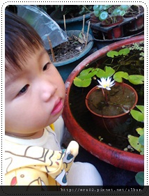 賞小小魚兒.jpg