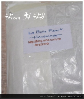 A FI手機套.JPG