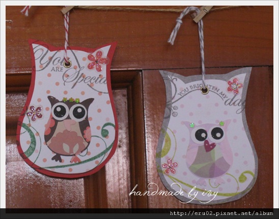 owl大合照6