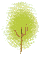 au-tree5.gif