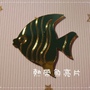 魚.JPG