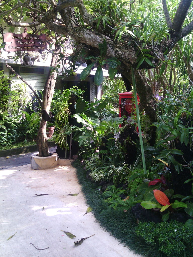 巴里島 歐丹特 Al Dente Italian Kitchen and Bar 