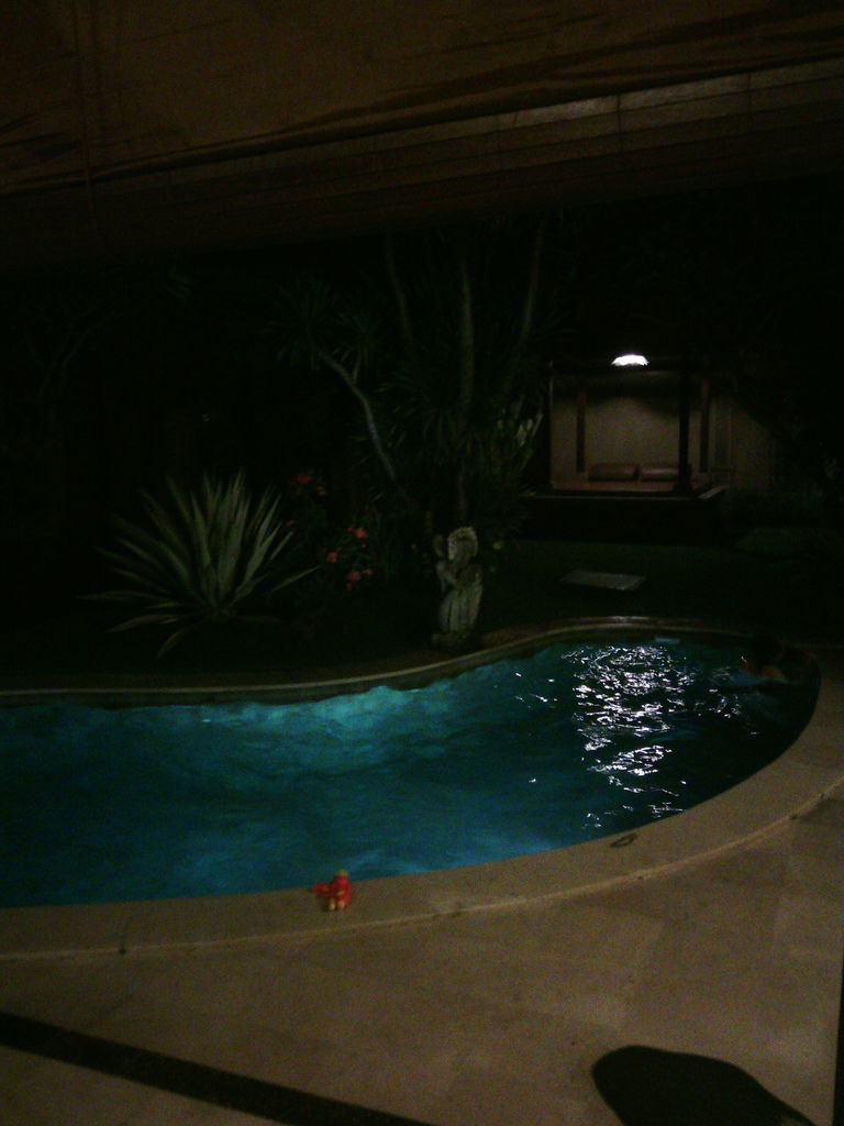 巴里島 Bali Aroma Villa