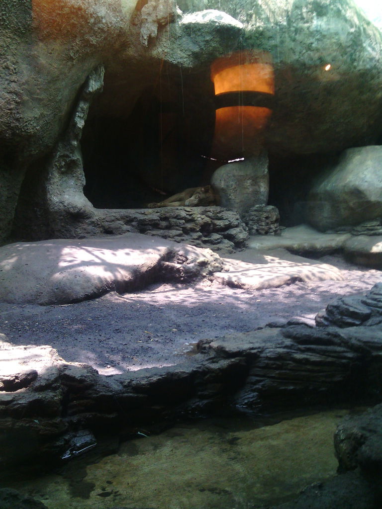 巴里島 Bali Safari and Marine Park 野生動物園