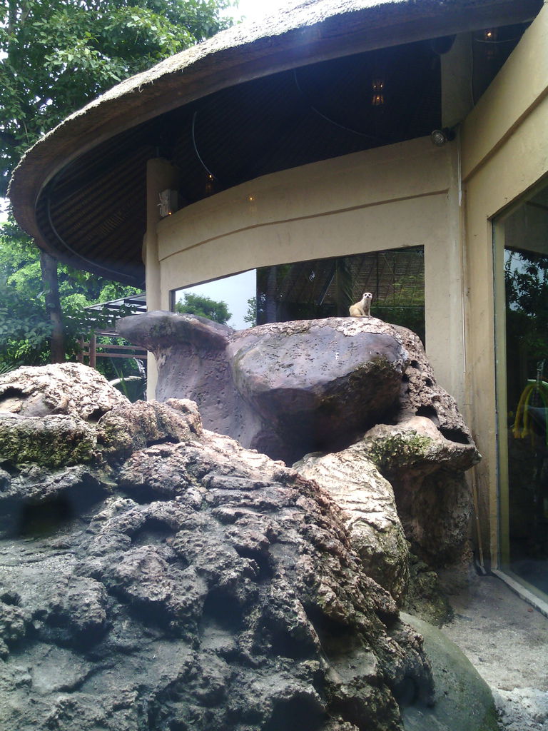 巴里島 Bali Safari and Marine Park 野生動物園