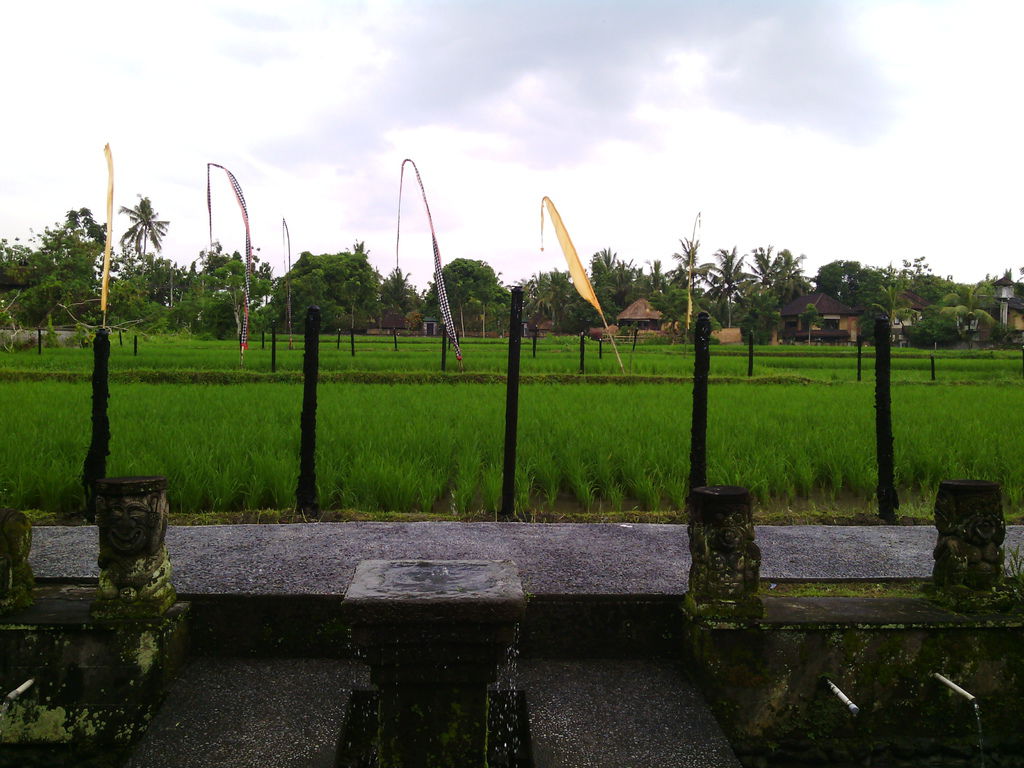 巴里島 髒鴨餐廳 Laka Leke