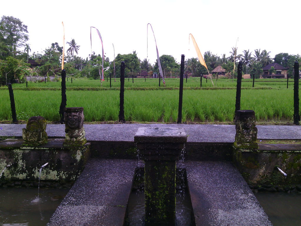 巴里島 髒鴨餐廳 Laka Leke