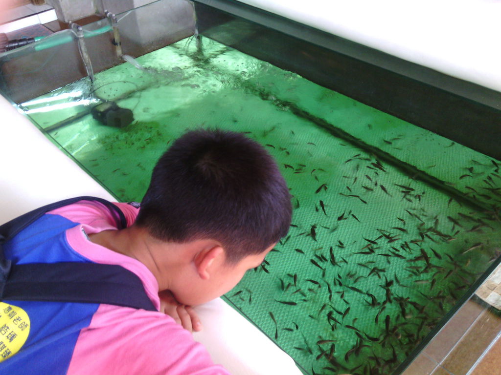 烏布傳統文物批發市場 SPA 商店門口的 Fish SPA 池