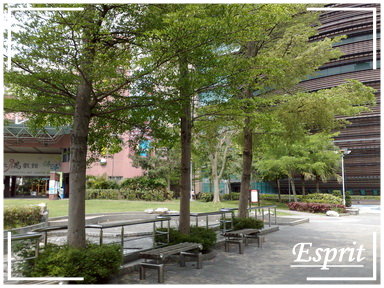 京華城記 005.jpg 京華城記 005.jpg