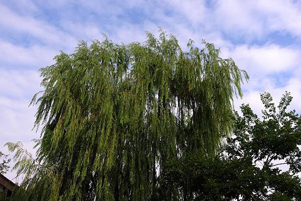 L1366490.JPG L1366490.JPG