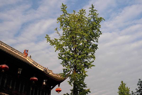 L1366499.JPG L1366499.JPG