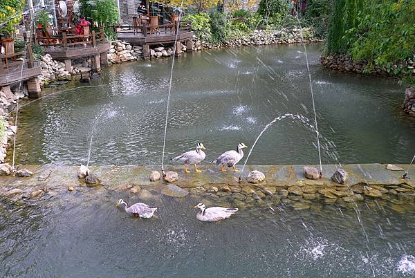 L1376272.JPG L1376272.JPG