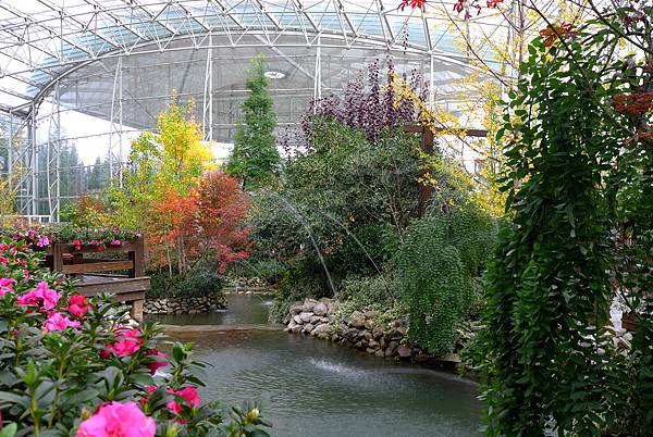 L1376309.JPG L1376309.JPG