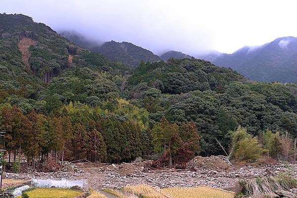 L1382460.JPG L1382460.JPG