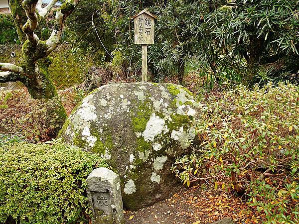 L1250949.JPG L1250949.JPG