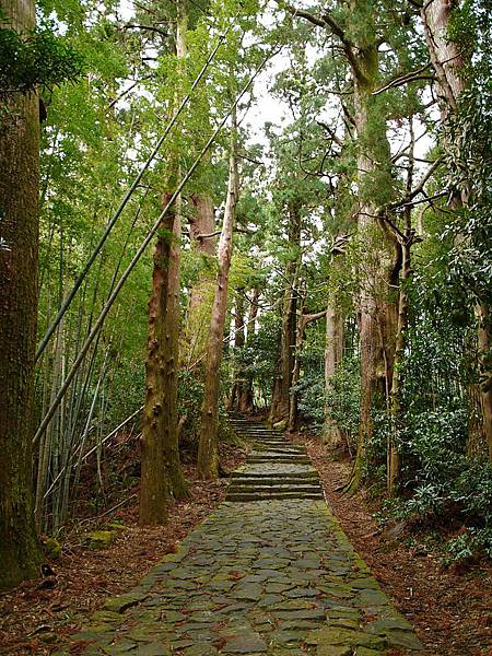 L1250960.JPG L1250960.JPG