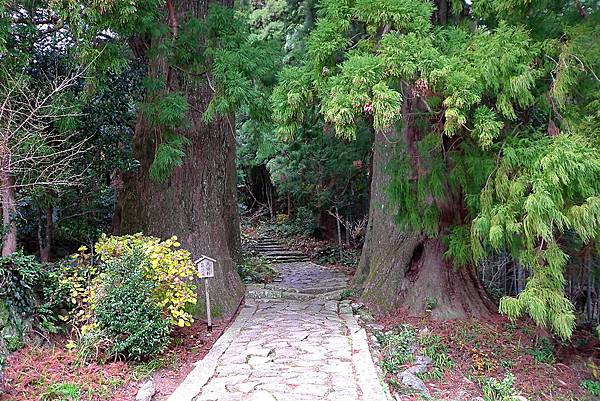 L1382475.JPG L1382475.JPG