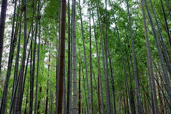 L1382493.JPG L1382493.JPG