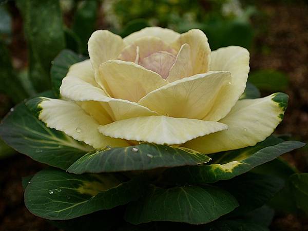 L1260014.JPG L1260014.JPG