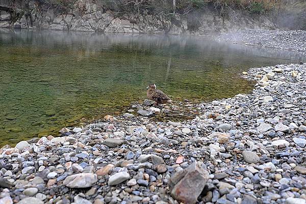 L1382531.JPG L1382531.JPG