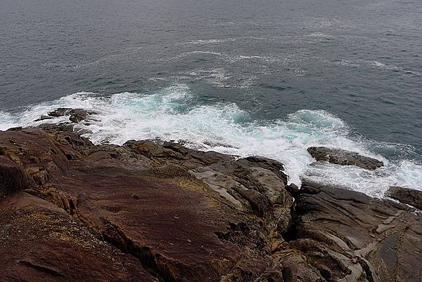 L1382604.JPG L1382604.JPG