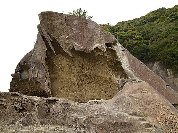 L1260091.JPG L1260091.JPG