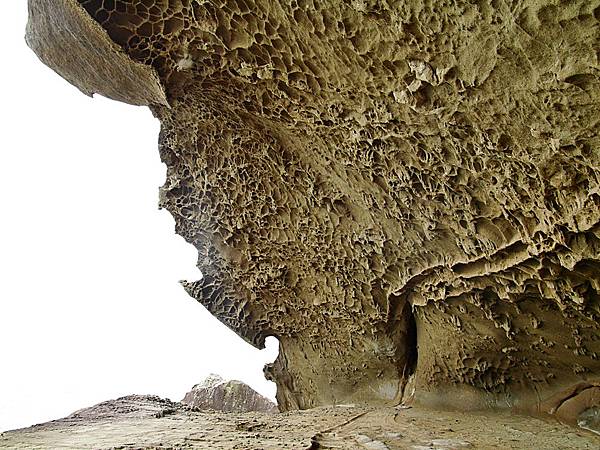 L1260125.JPG L1260125.JPG