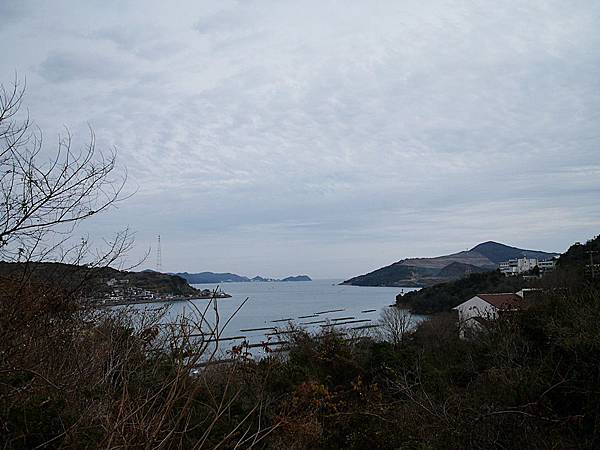 L1260237.JPG L1260237.JPG