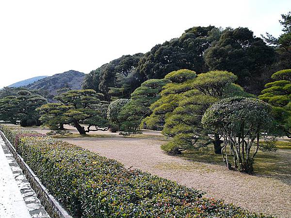 L1260374.JPG L1260374.JPG